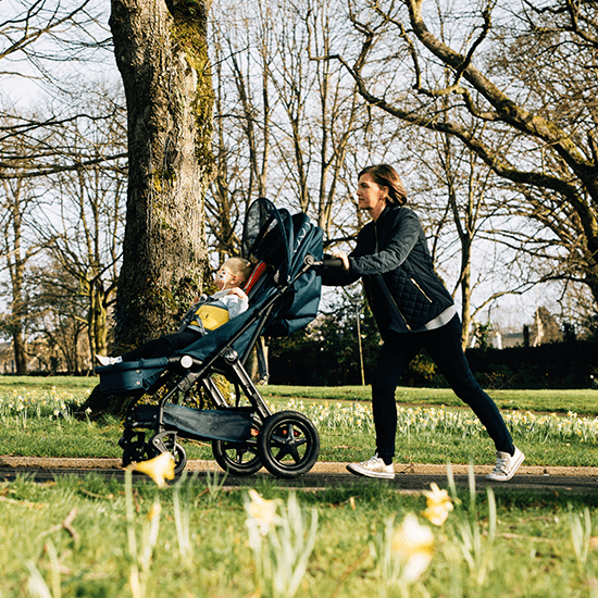 Firefly WeGo Stroller